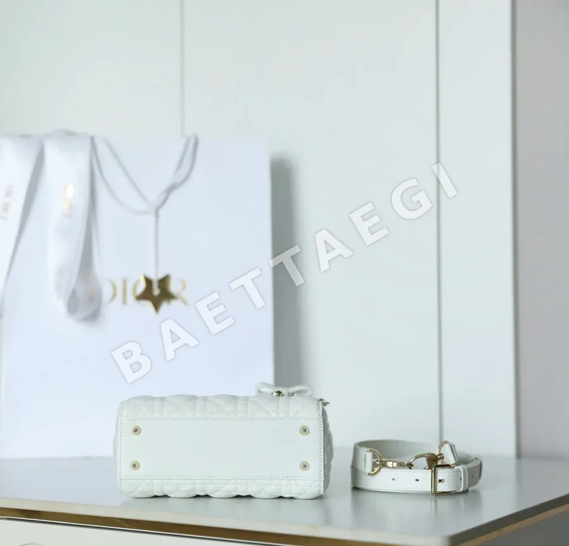 디올 165235 가방 Dior Bag 상세 이미지 7