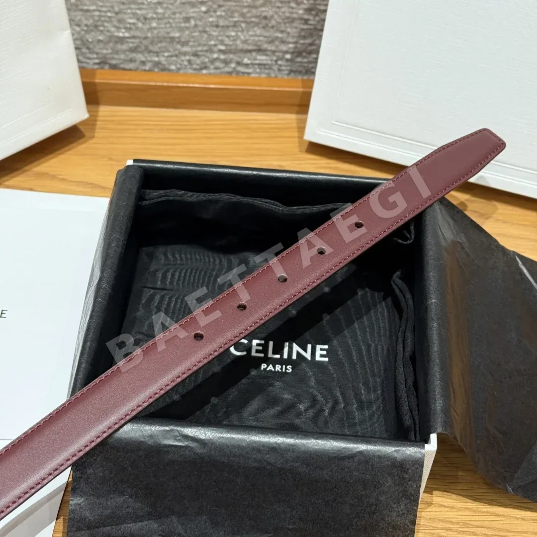 셀린느 TRIOMPHE 골드 버클 소가죽 벨트 25MM 상세 이미지 6