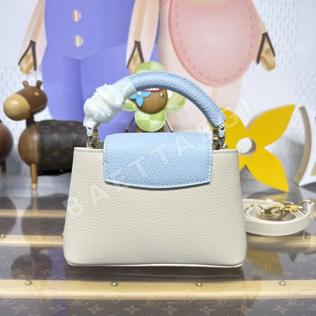 루이비통(버드케이지) 192107 가방 Louis Vuitton Bag 상세 이미지 3