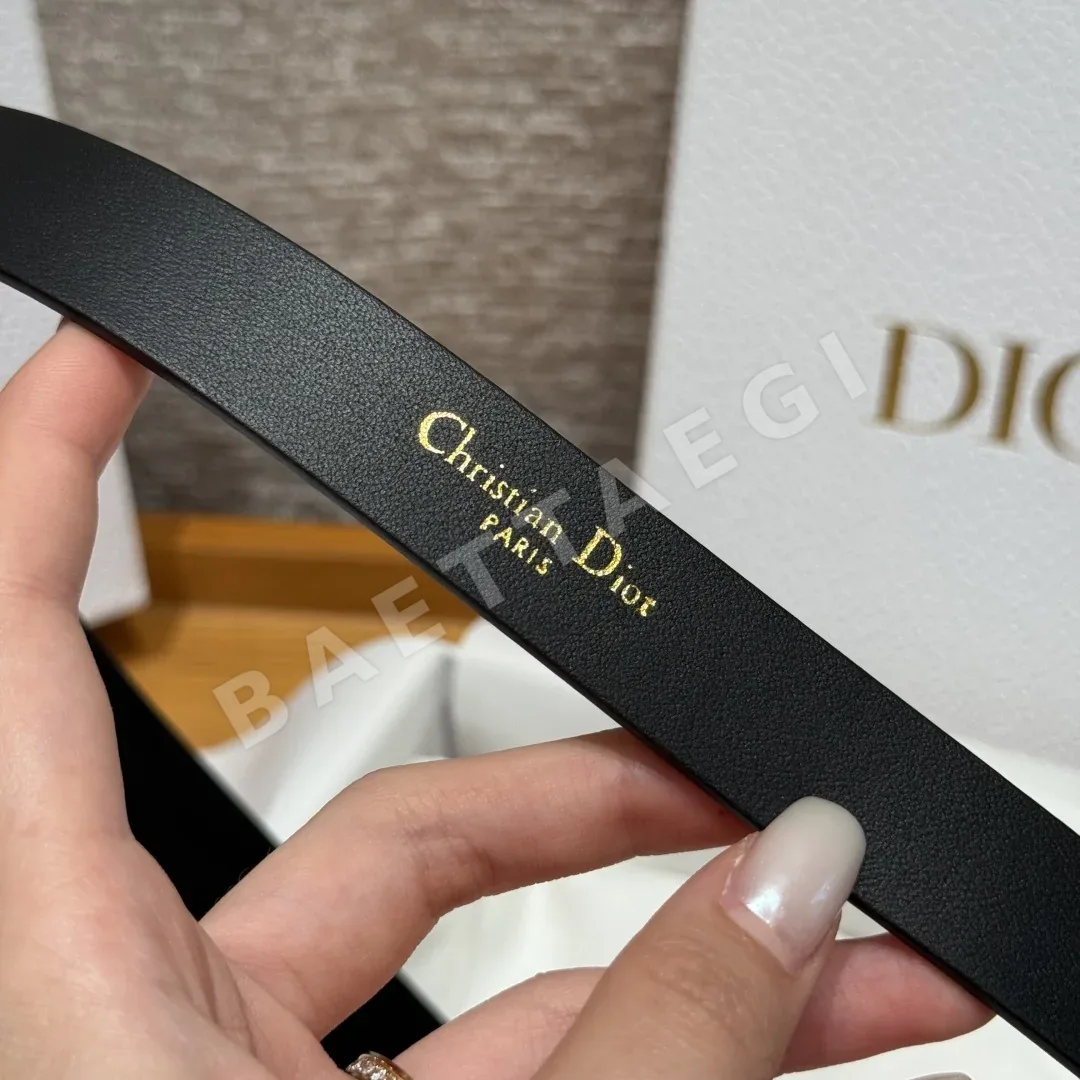 디올 스웨이드 CD 버클 벨트 상세 이미지 9