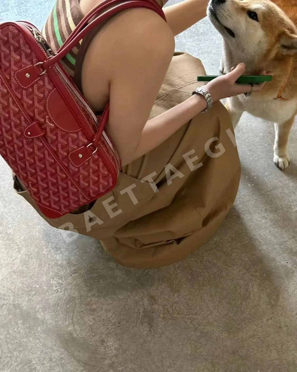 고야드 빈티지 바게트 백 가방 상세 이미지 3