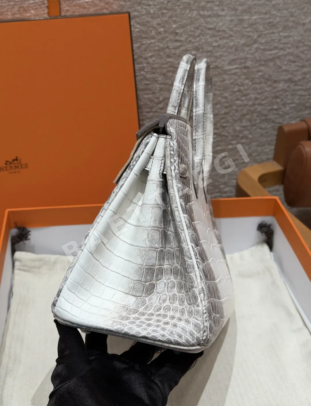 에르메스 버킨 25 히말라야 나일 악어 가방 상세 이미지 4