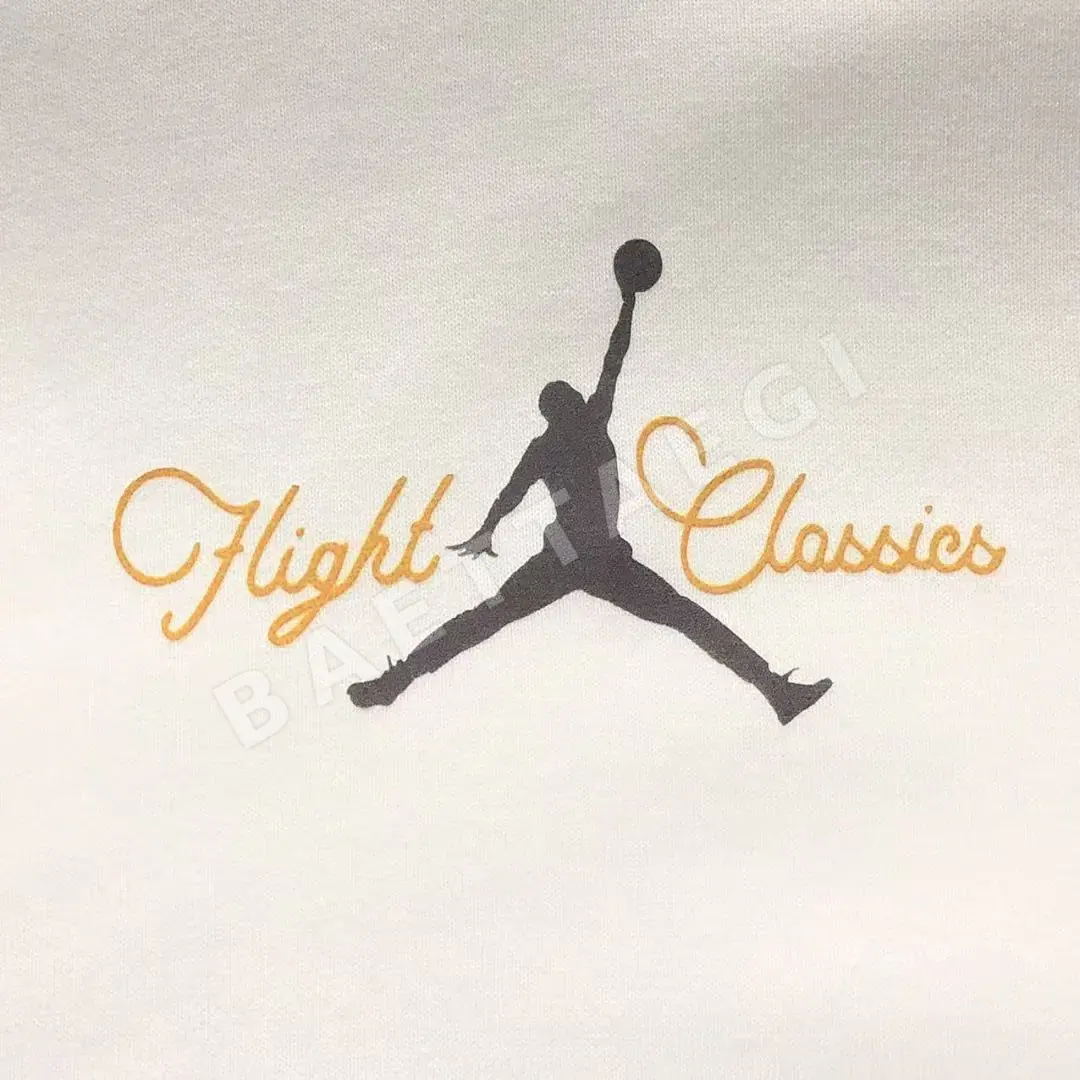 나이키 조던 후드티 203157 Nike Jordan Hoodie 상세 이미지 2