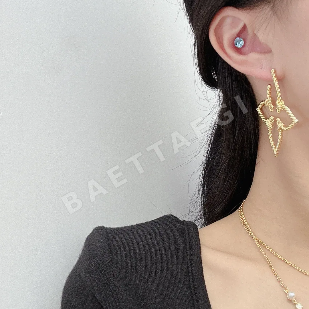 루이비통 귀걸이 64140 Louis Vuitton Earrings