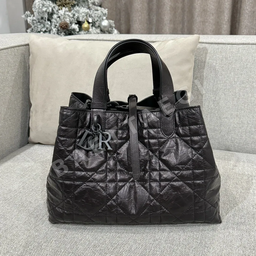 디올 가방 16577