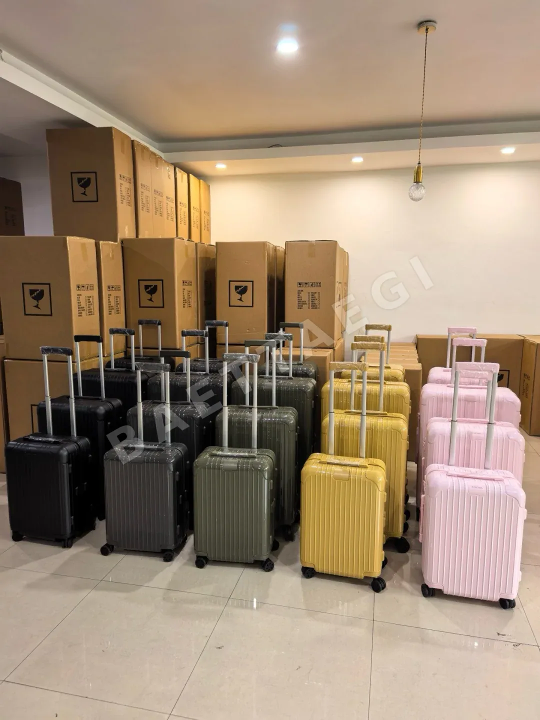 루이비통 버드케이지 가방 상세 이미지 2