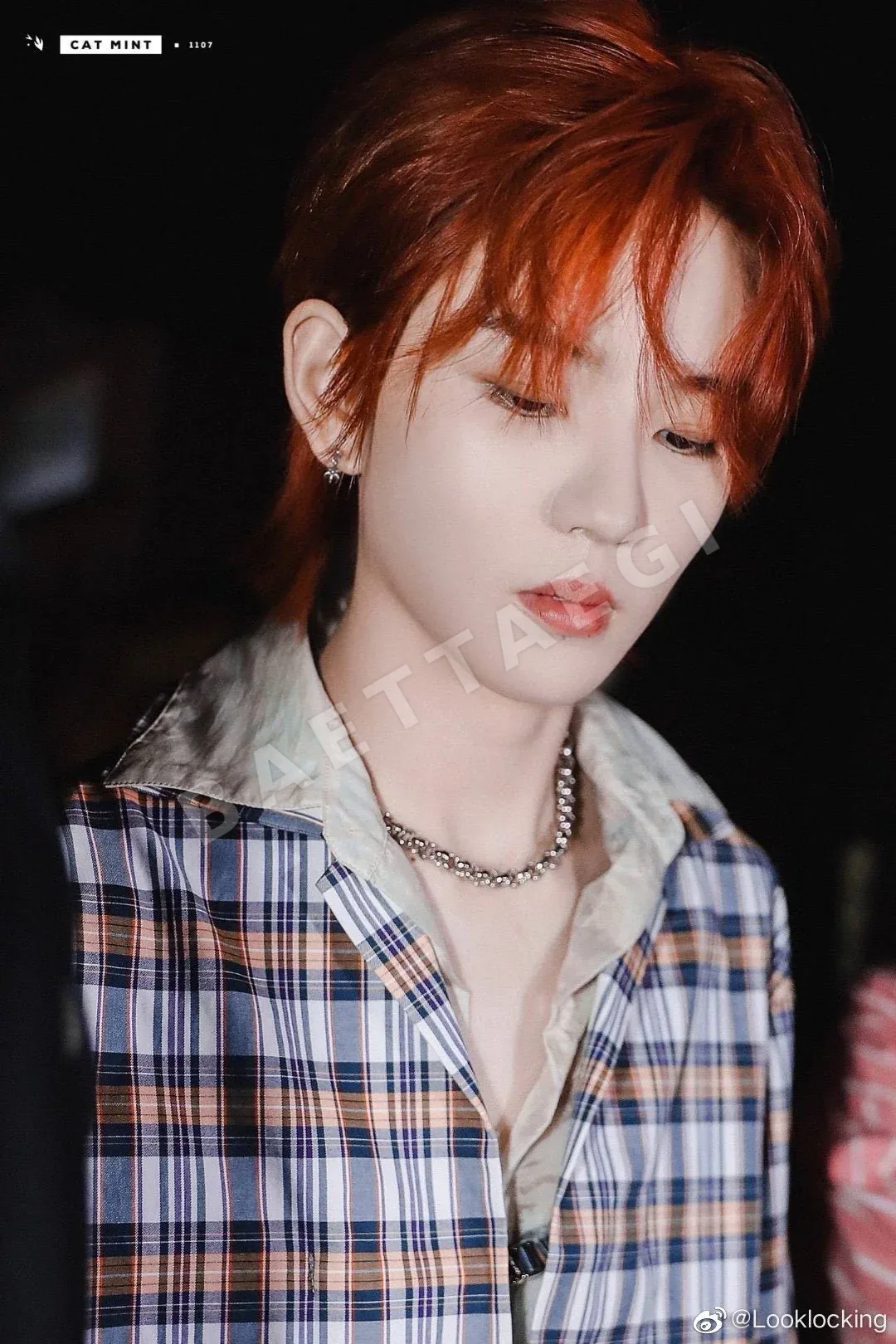 크롬하츠 925 실버 육각별 귀걸이 상세 이미지 5