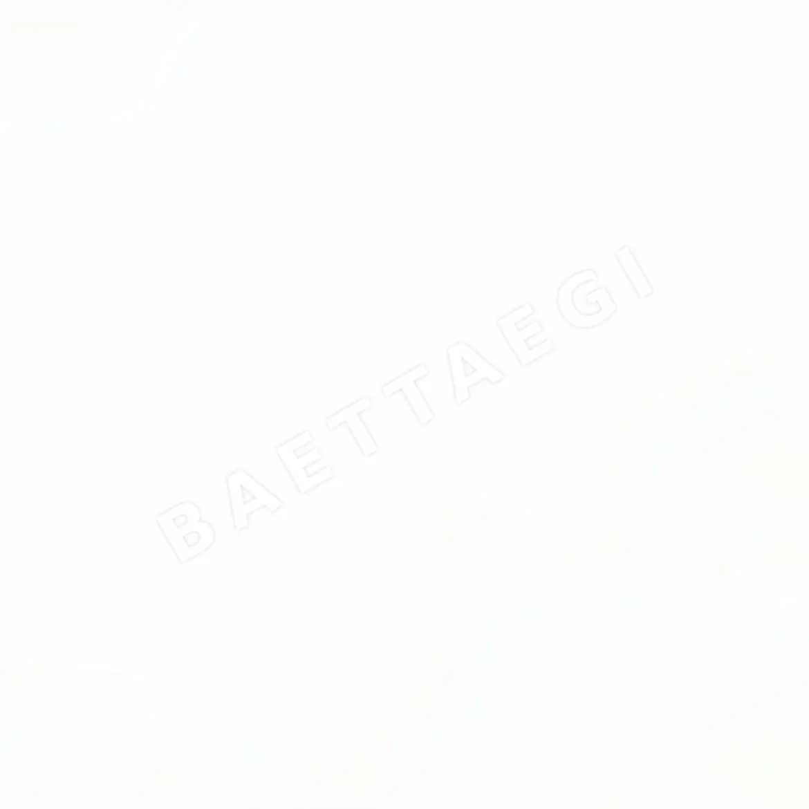 디올 가방 상세 이미지 3