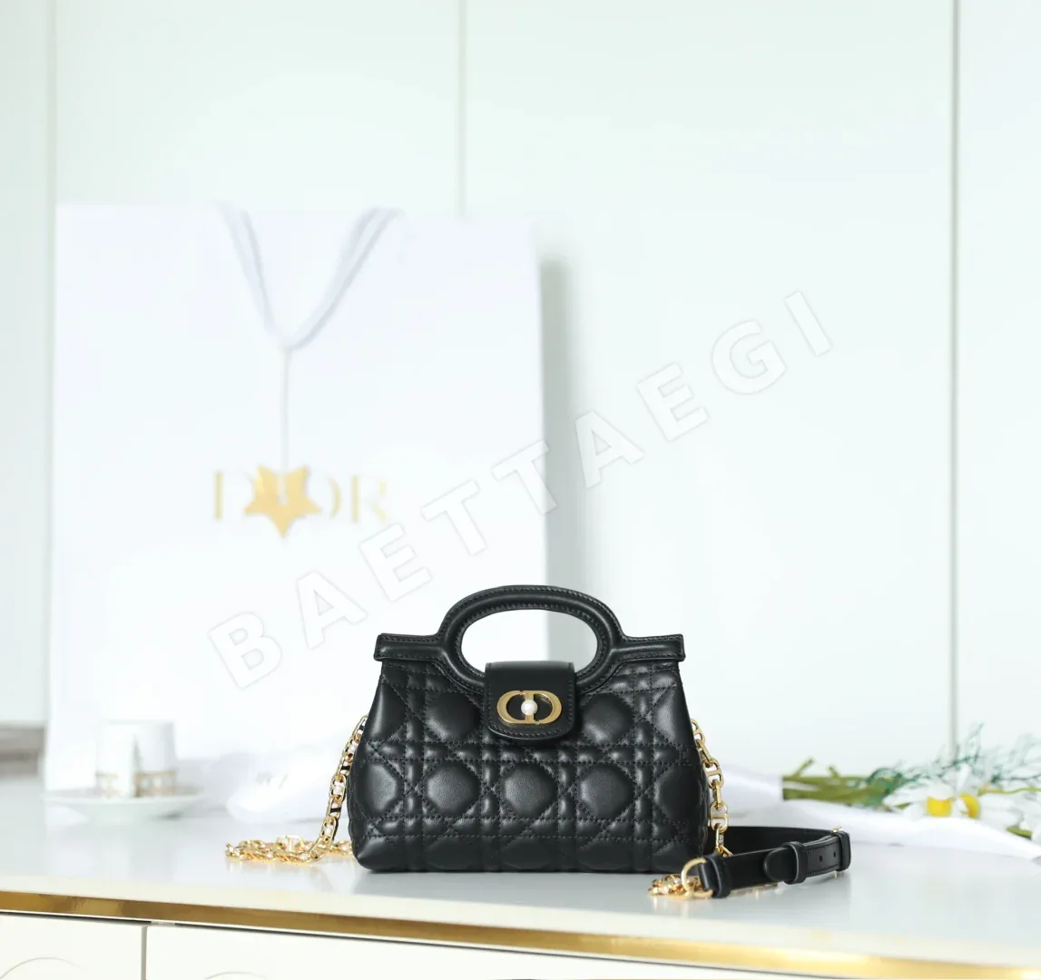 디올 165282 가방 Dior Bag