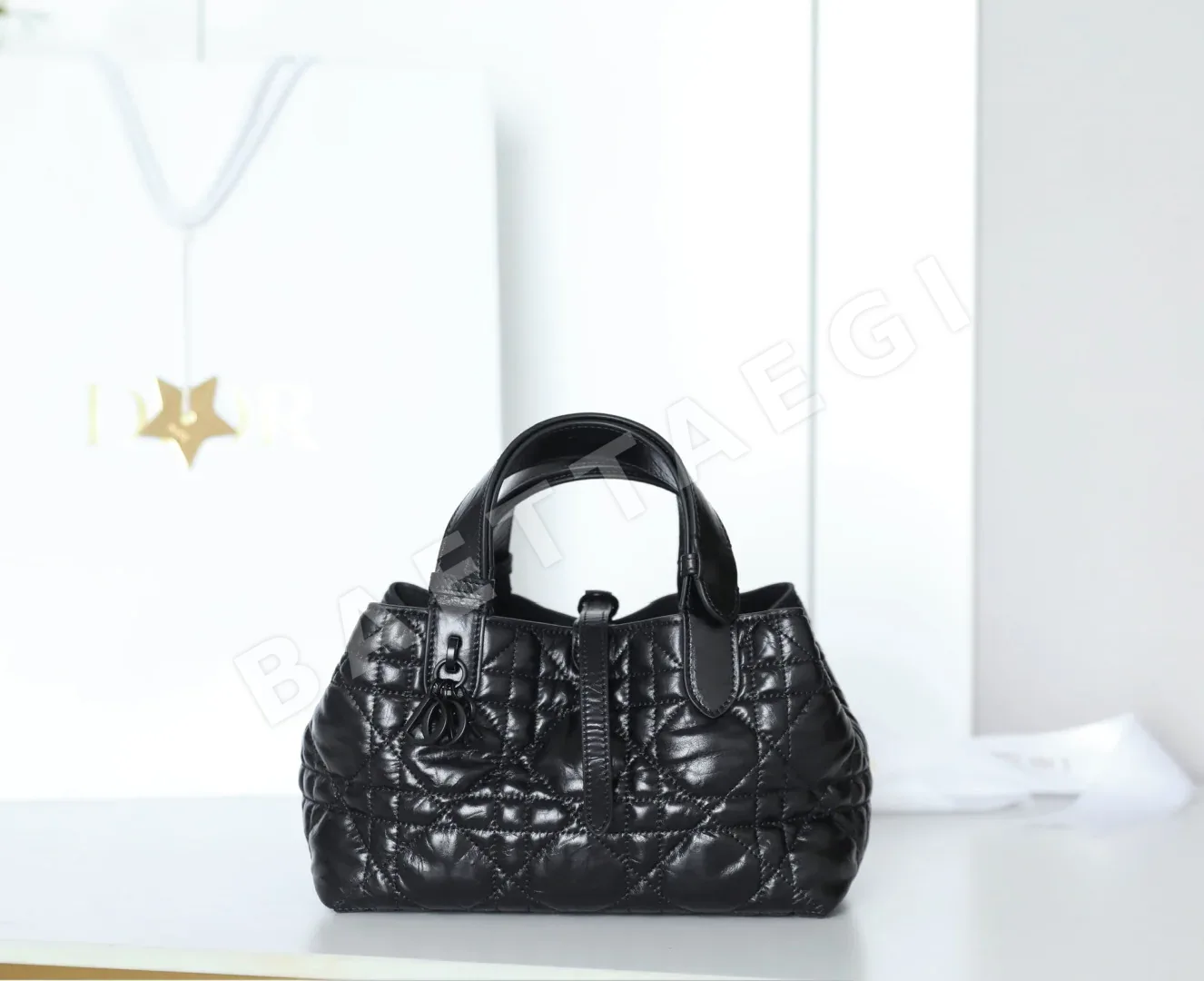 디올 165262 가방 Dior Bag