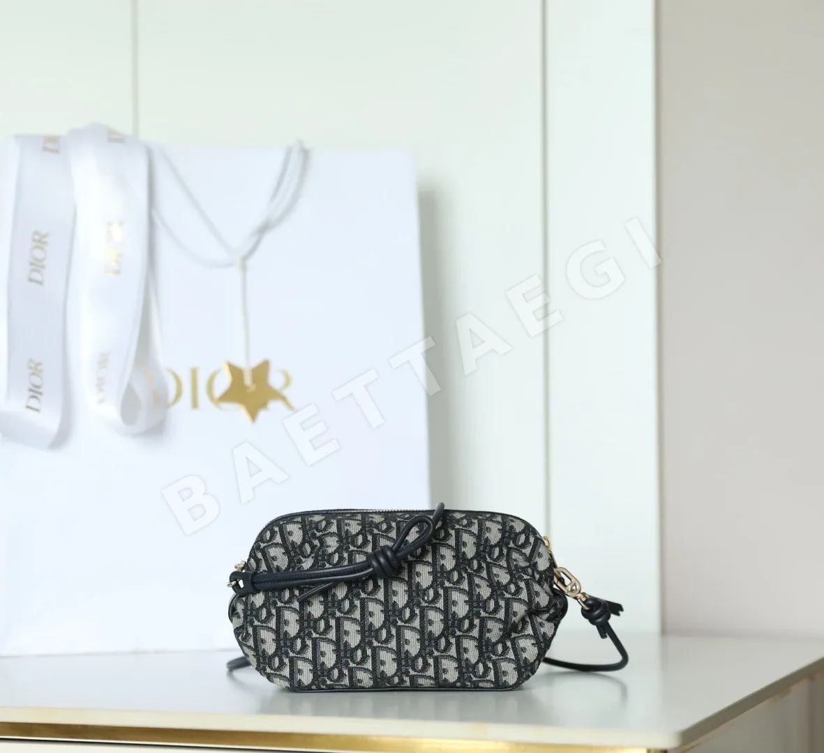 디올 165247 가방 Dior Bag