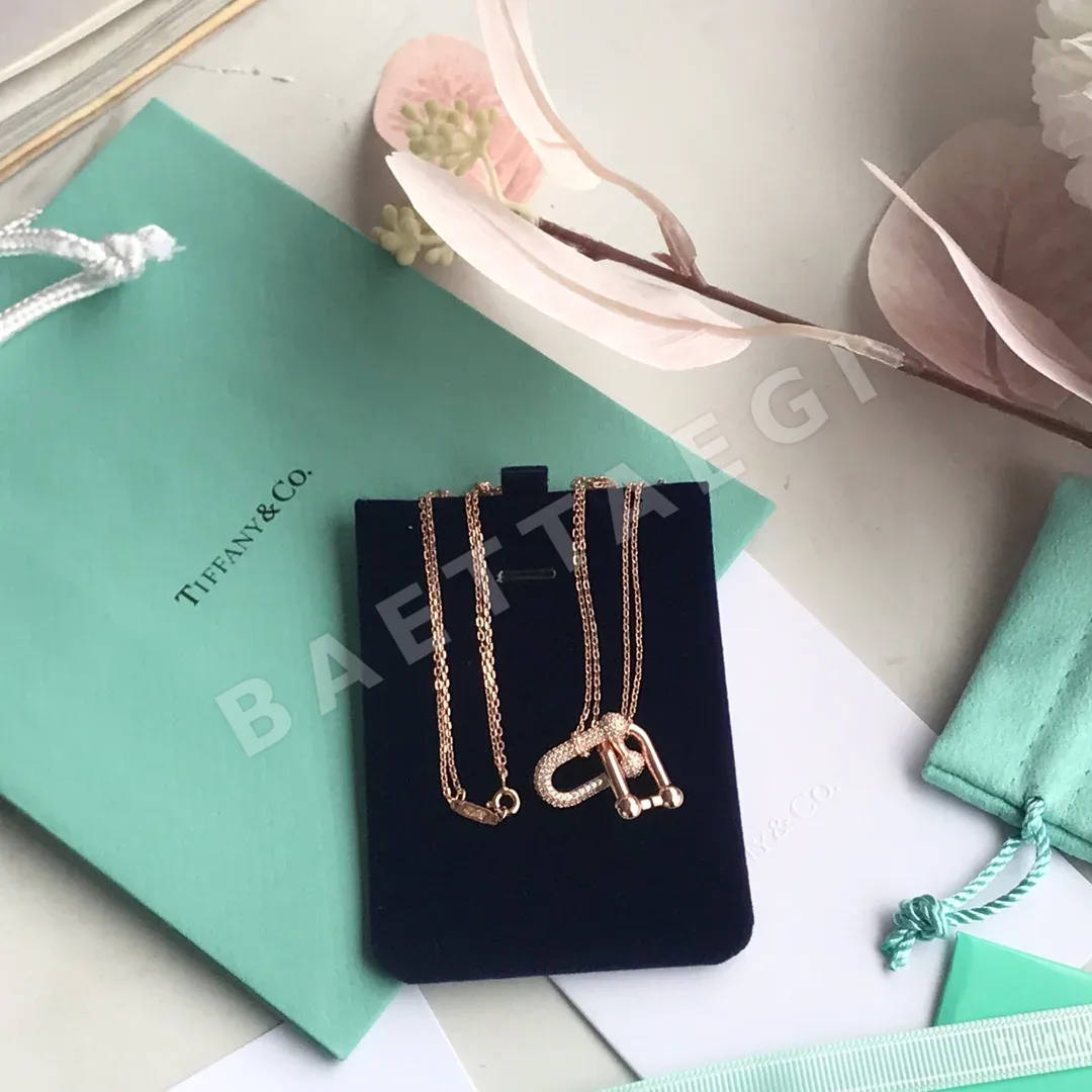 티파니 목걸이 70950 Tiffany & Co Necklace 상세 이미지 8
