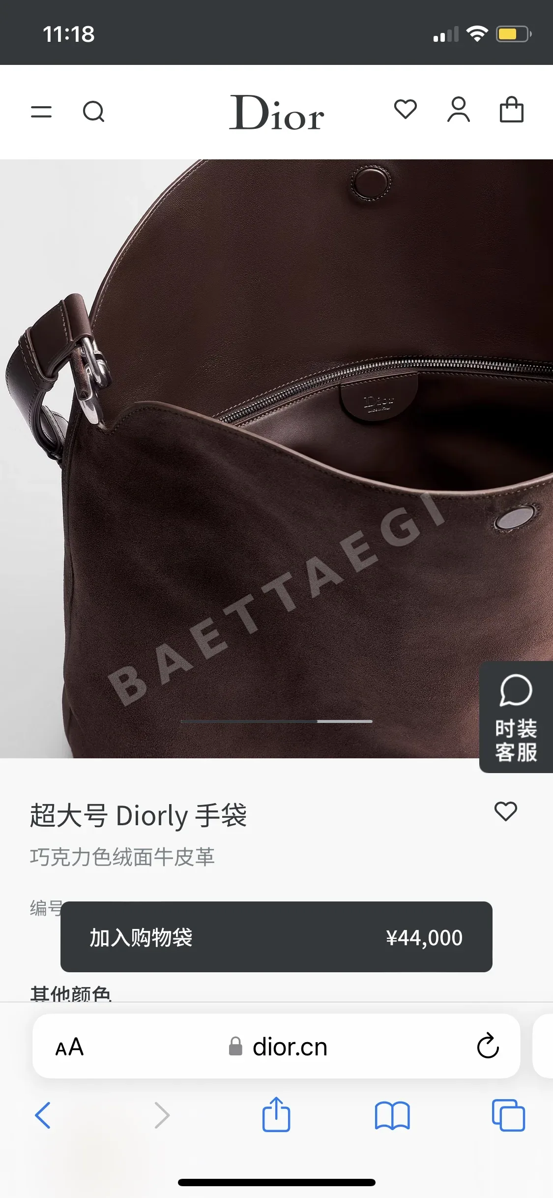 디올 리 호보 스웨이드 가방 상세 이미지 6