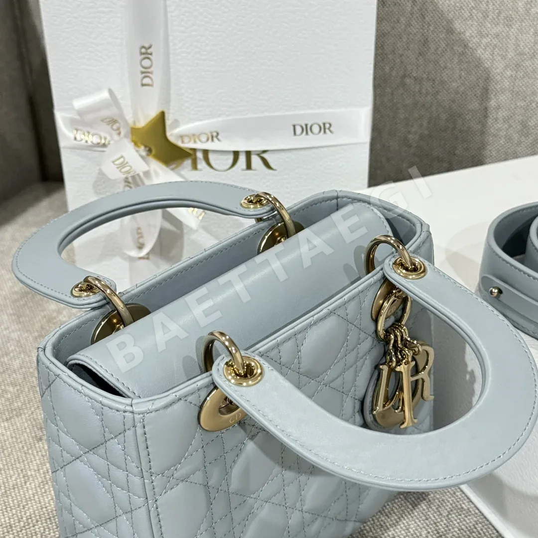 디올 가방 상세 이미지 9