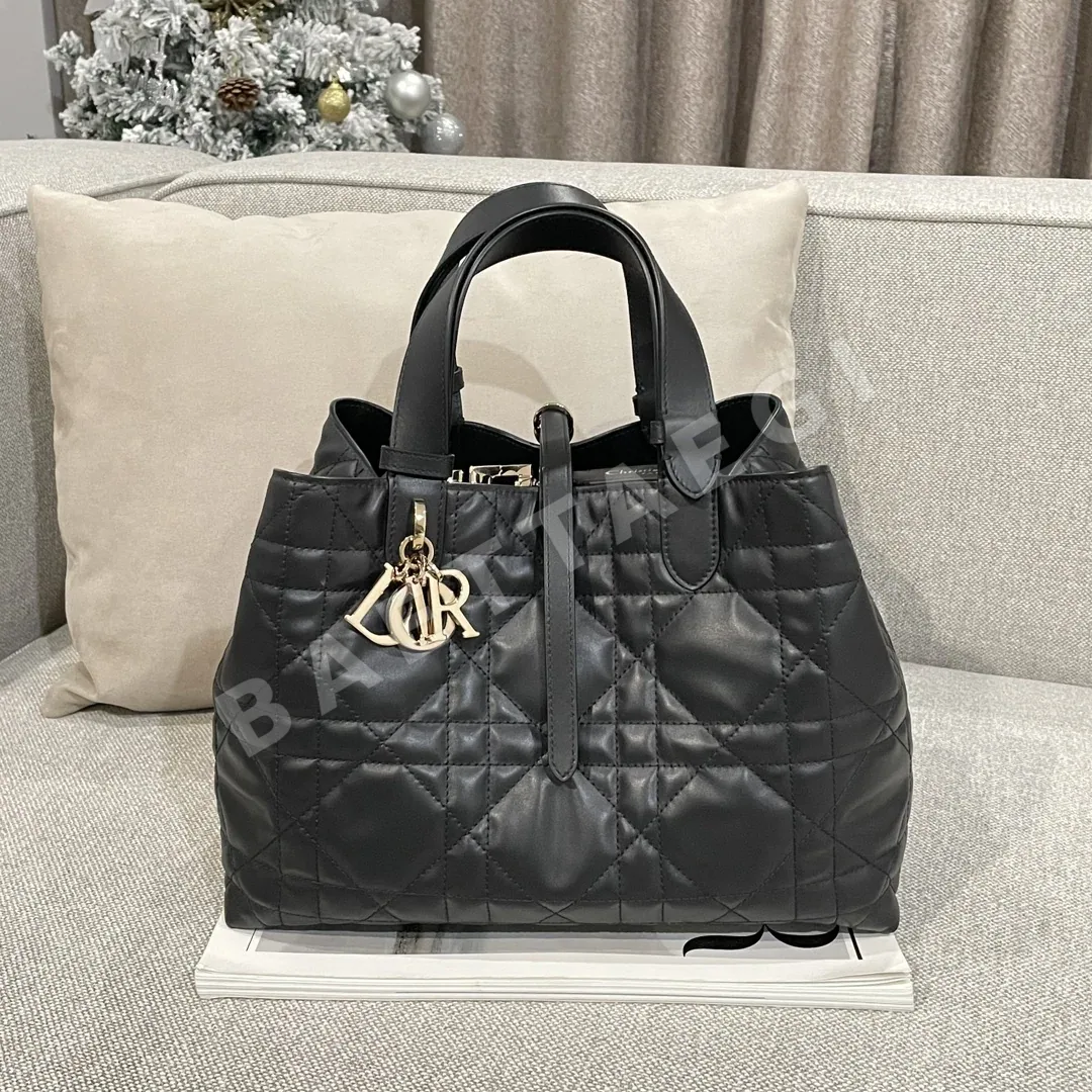 디올 가방 16643