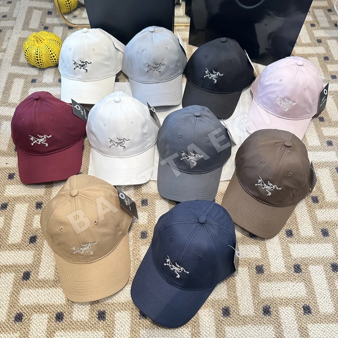 아크테릭스 스몰 버드 자수 베이스볼캡 120281