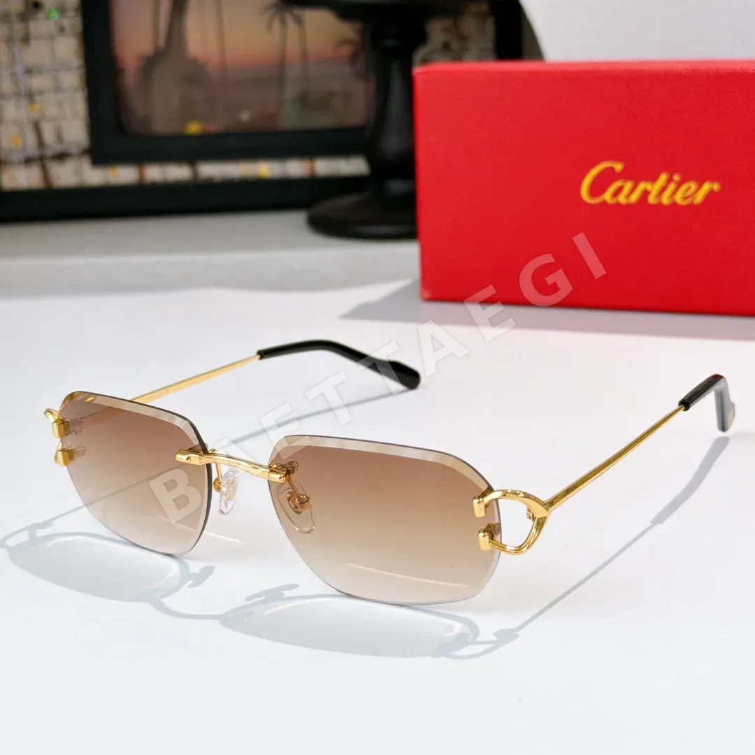 까르띠에 CT0468 S 선글라스 S 상세 이미지 2