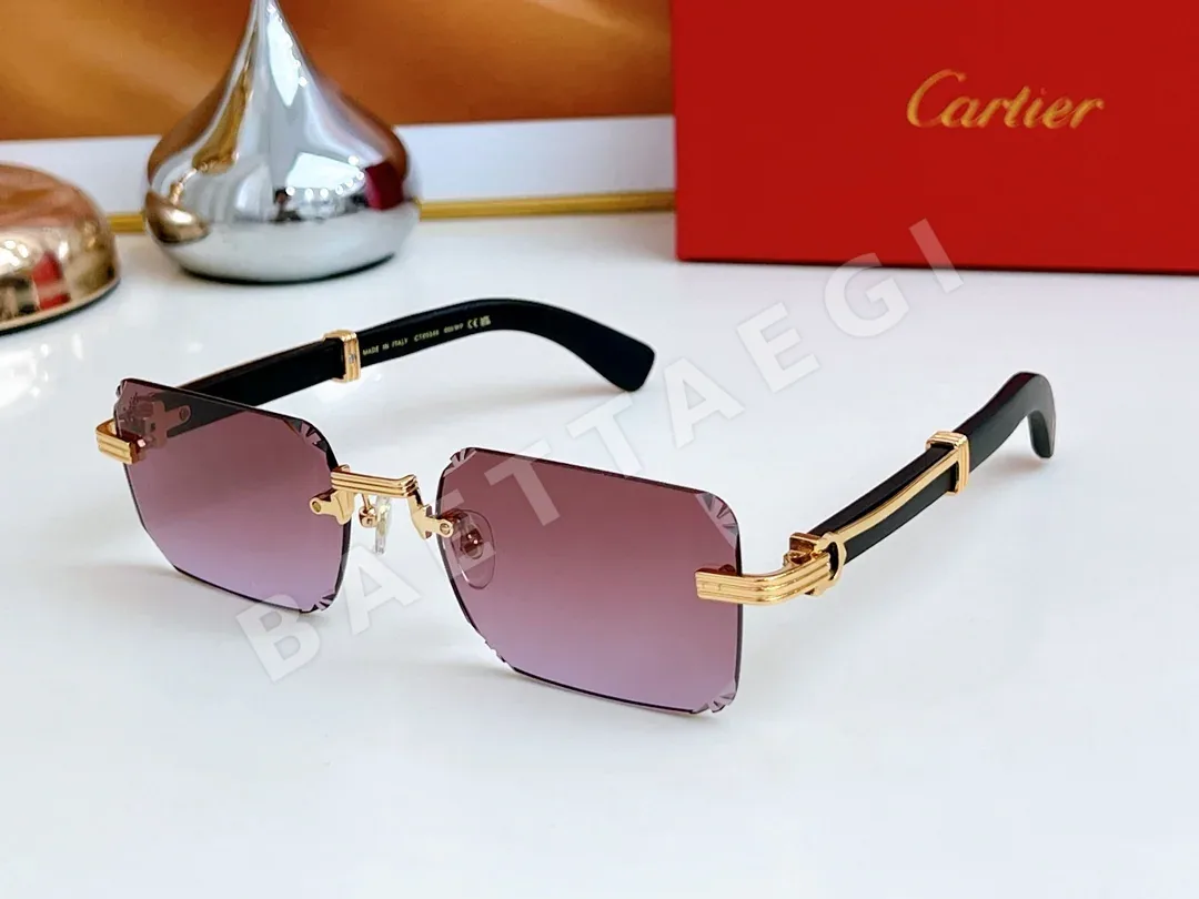 까르띠에 선글라스 72373 Cartier Sunglasses 상세 이미지 4