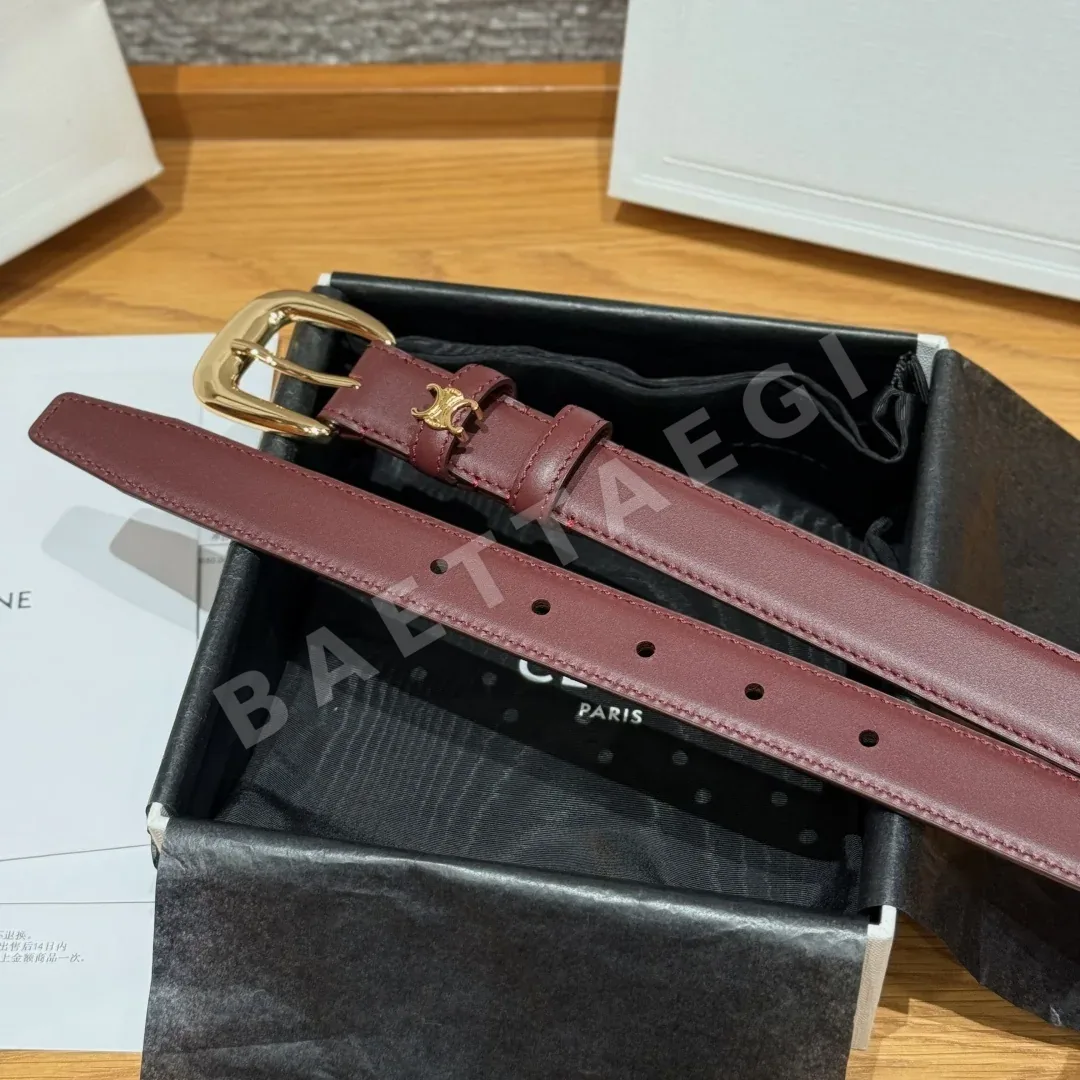 셀린느 TRIOMPHE 골드 버클 소가죽 벨트 25MM 상세 이미지 5