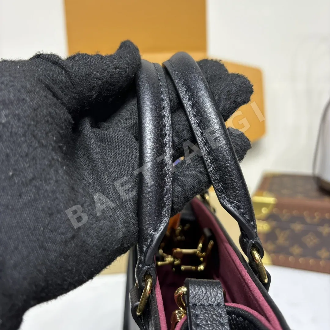 루이비통 버드케이지 M45653 가방 상세 이미지 9
