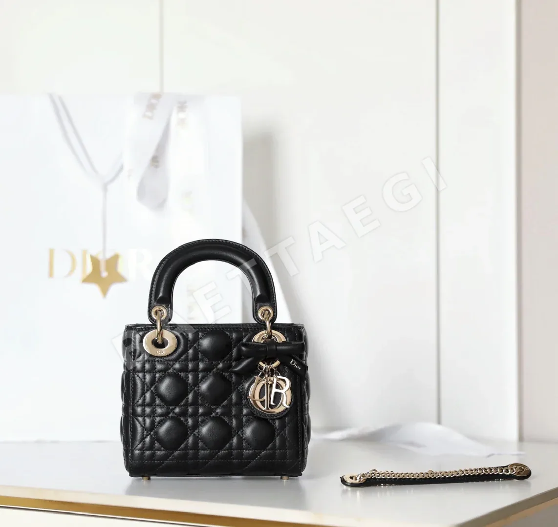 디올 165257 가방 Dior Bag 상세 이미지 2