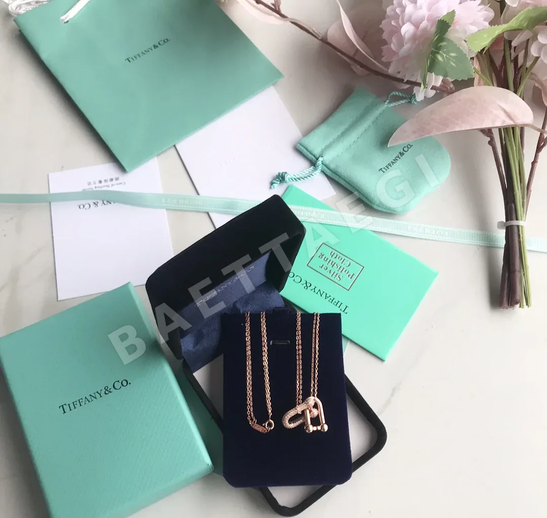 티파니 목걸이 70950 Tiffany & Co Necklace 상세 이미지 3