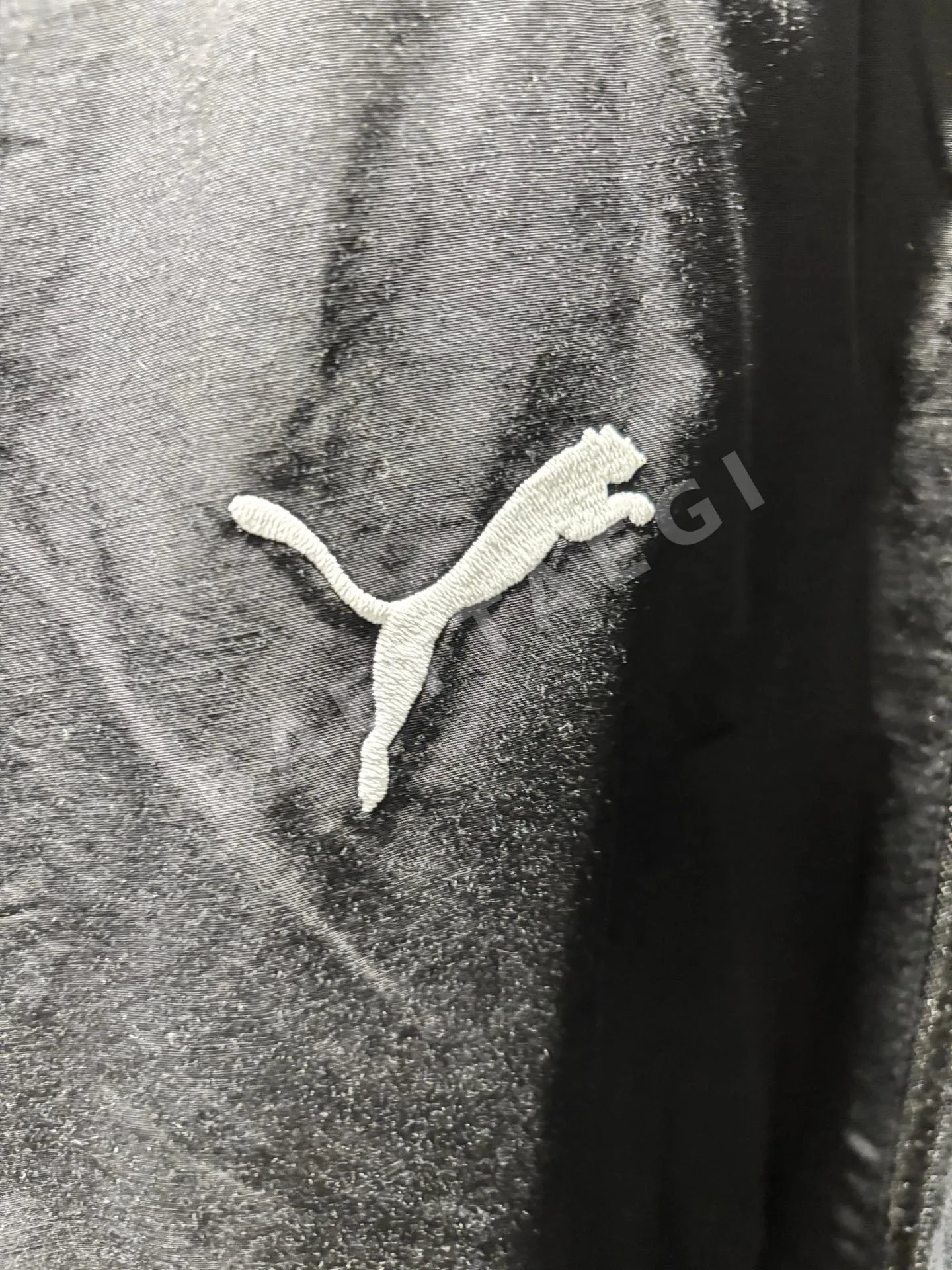 발렌시아가 여성 자켓 상세 이미지 6