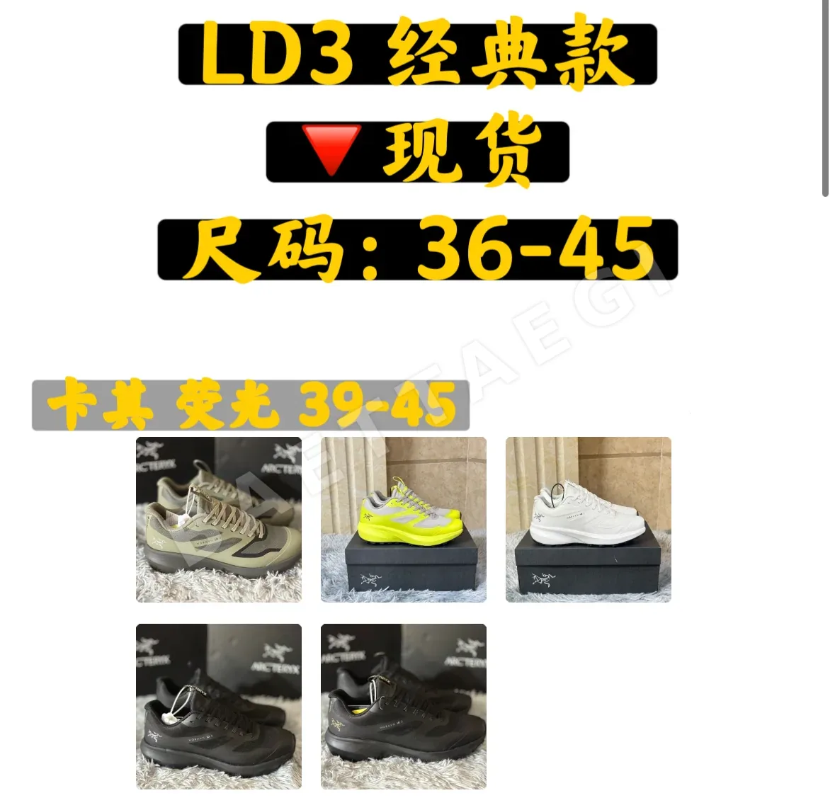 아크테릭스 LD3 클래식 신발 상세 이미지 1