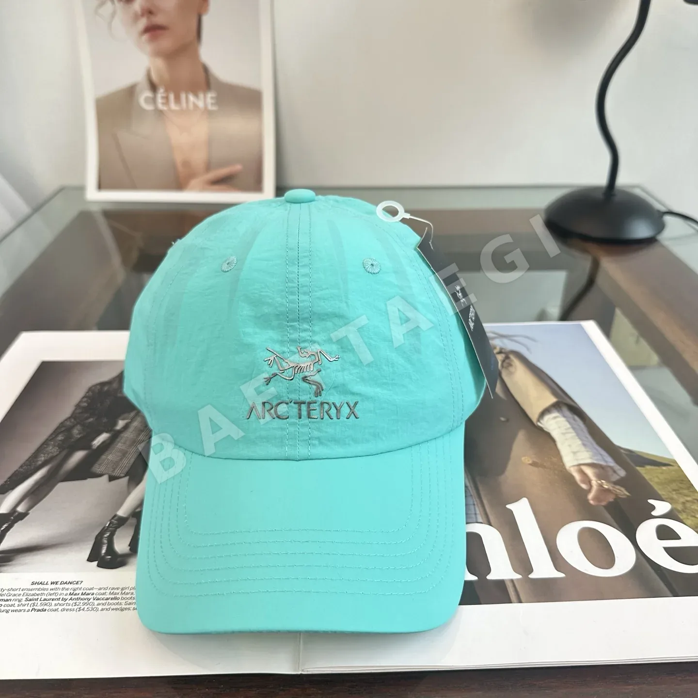 아크테릭스 스몰 버드 베이스볼 캡 상세 이미지 2