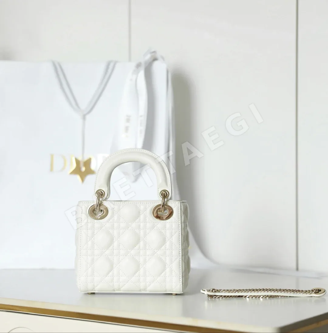 디올 165256 가방 Dior Bag 상세 이미지 6