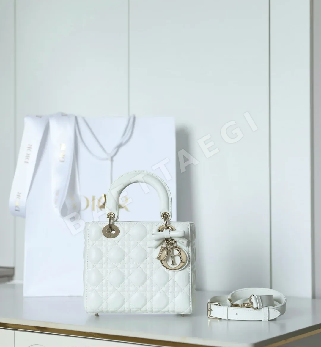 디올 165235 가방 Dior Bag
