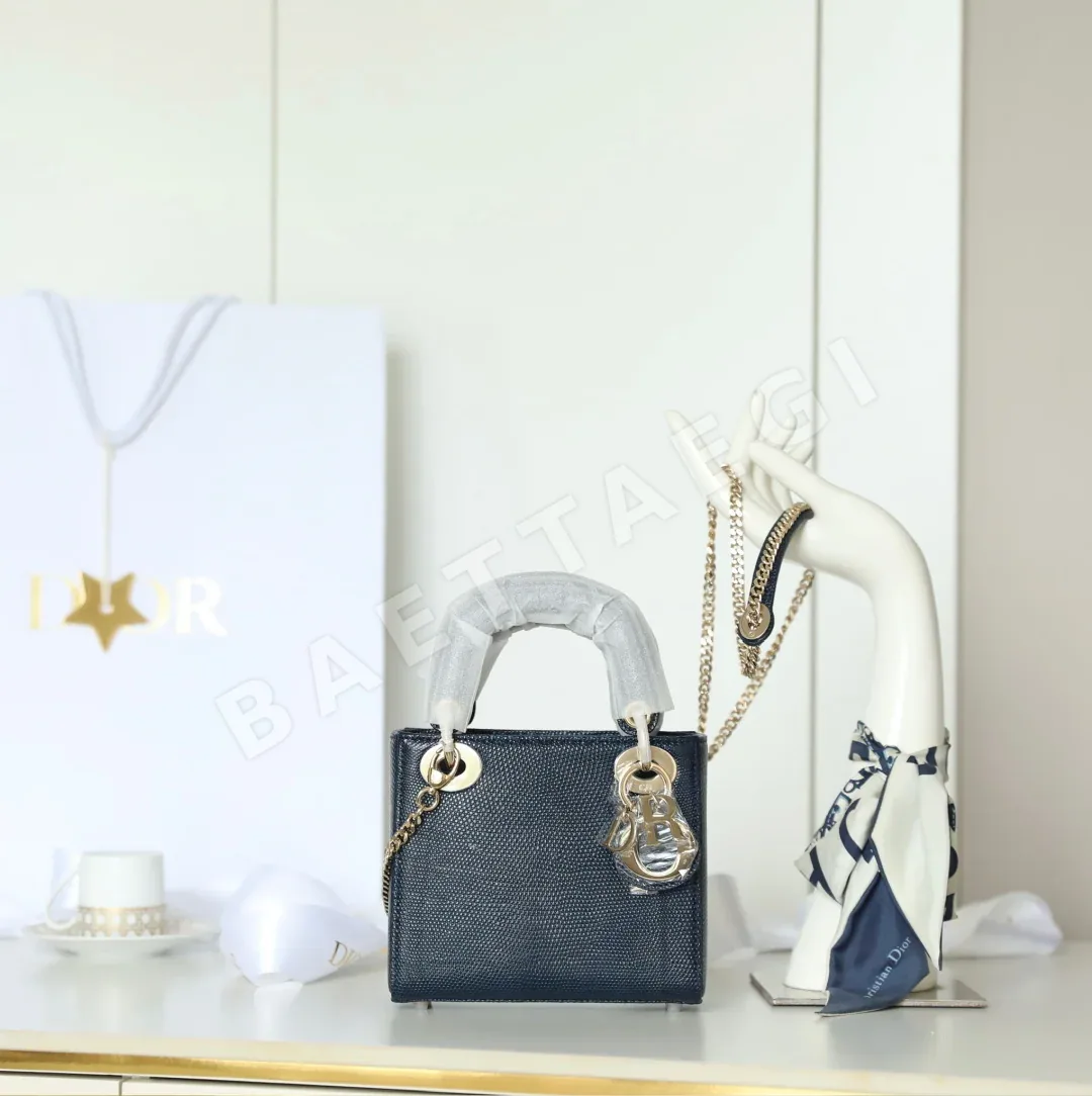 디올 165308 가방 Dior Bag