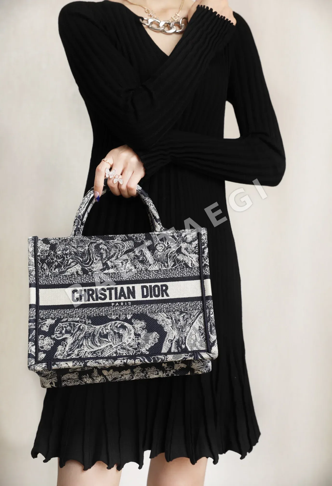 디올 165371 가방 Dior Bag 상세 이미지 5
