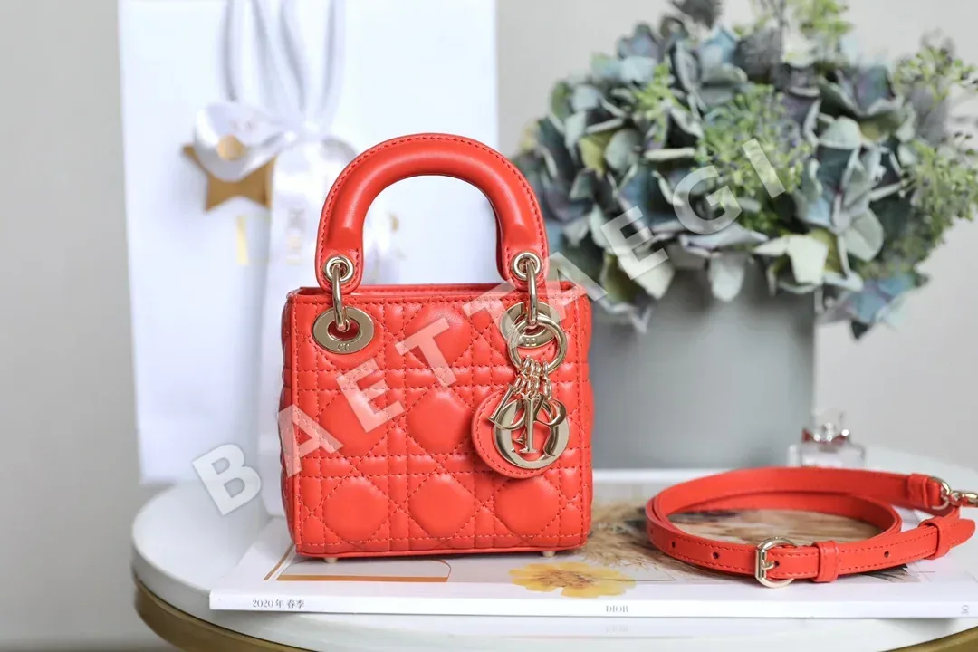 디올 165272 가방 Dior Bag 상세 이미지 1