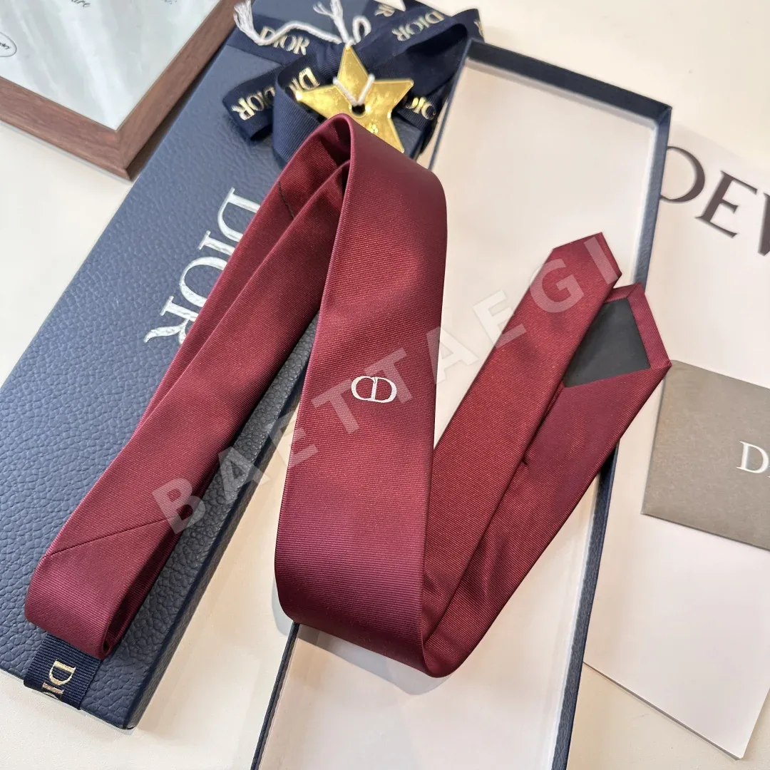 디올 넥타이 89895 Dior Accessories 상세 이미지 4