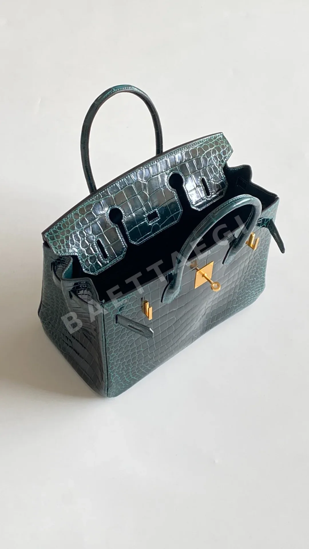 에르메스 솔트 크로코다일 에나멜 가방 상세 이미지 9