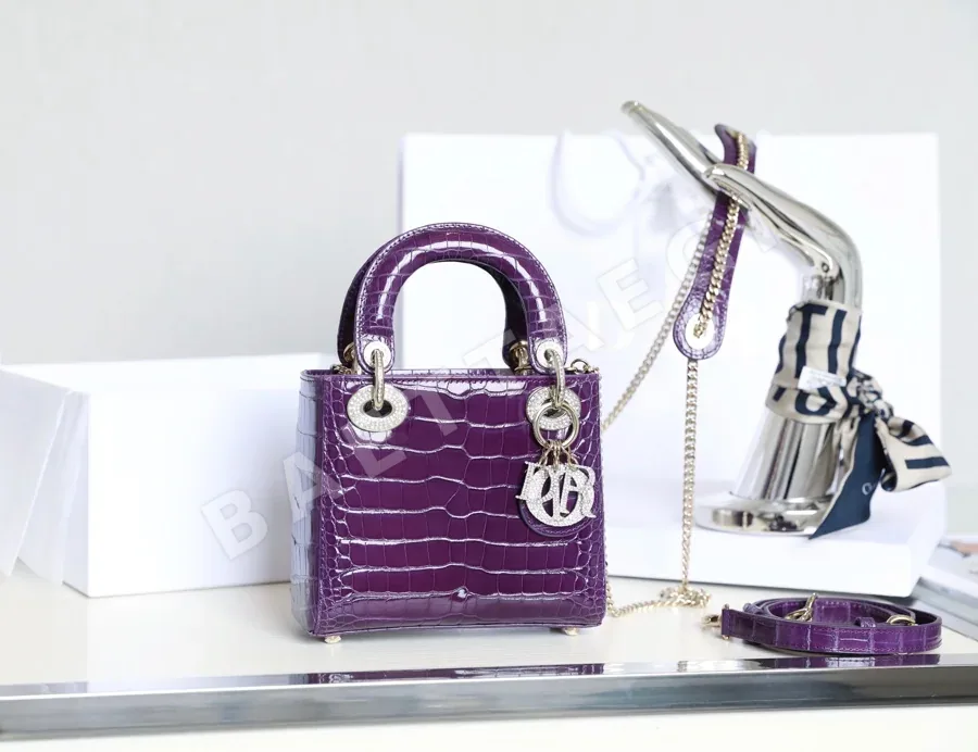 디올 165393 가방 Dior Bag