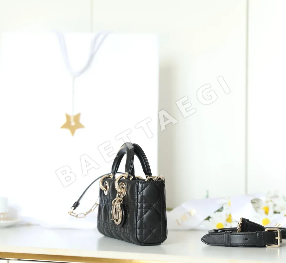디올 165322 가방 Dior Bag 상세 이미지 5