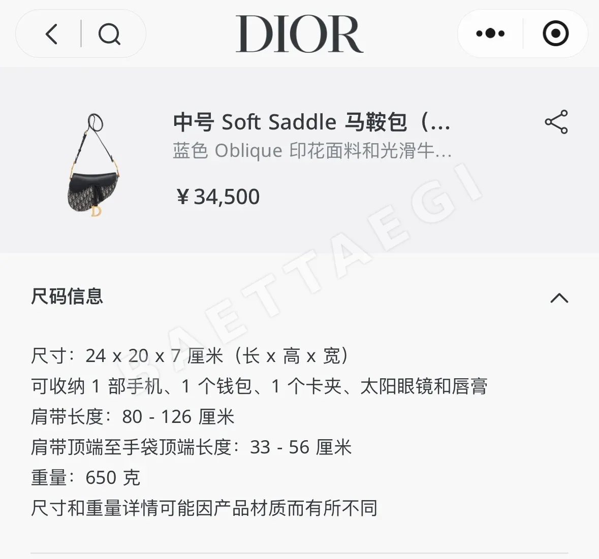 디올 가방 상세 이미지 6