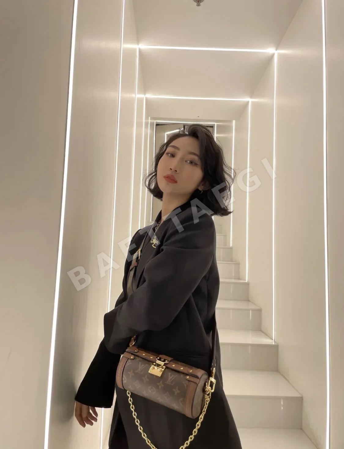 루이비통 파피용 가방 M57835 상세 이미지 2