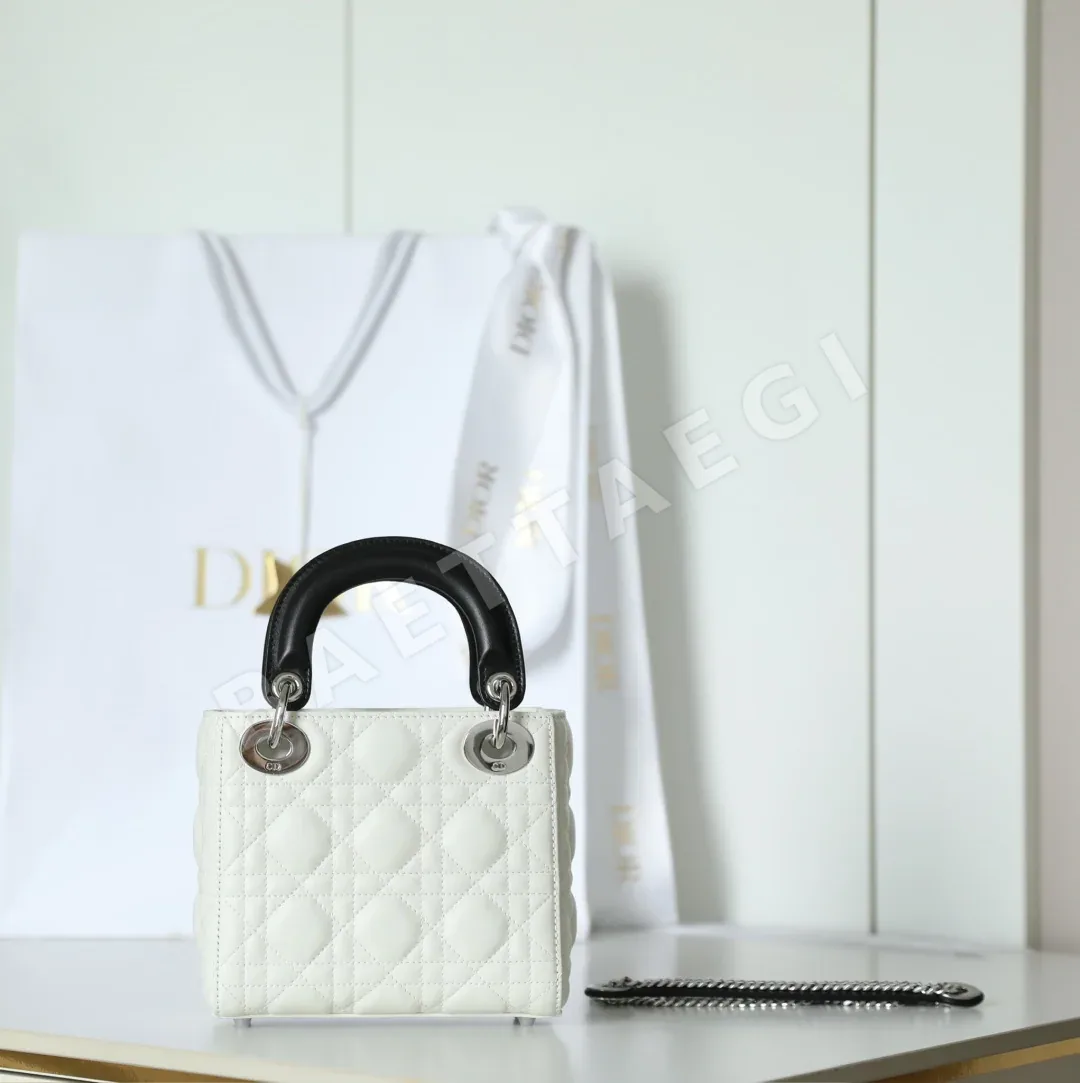 디올 165252 가방 Dior Bag 상세 이미지 6