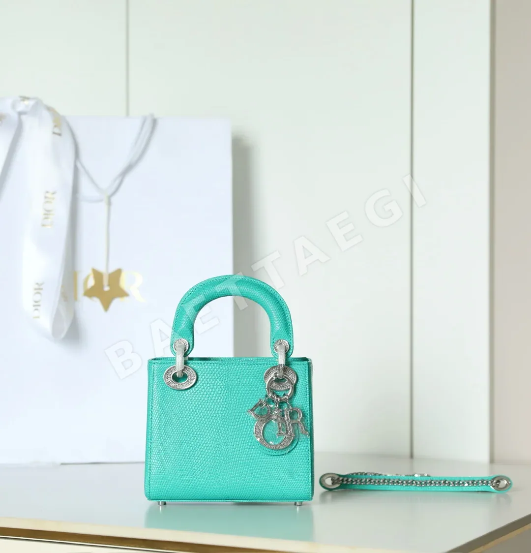 디올 165244 가방 Dior Bag 상세 이미지 2