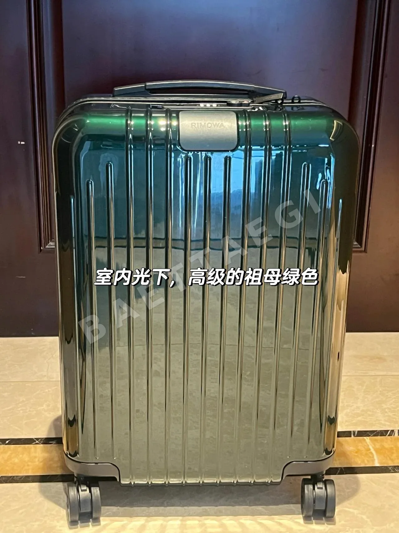 리모와 여행가방 20207
