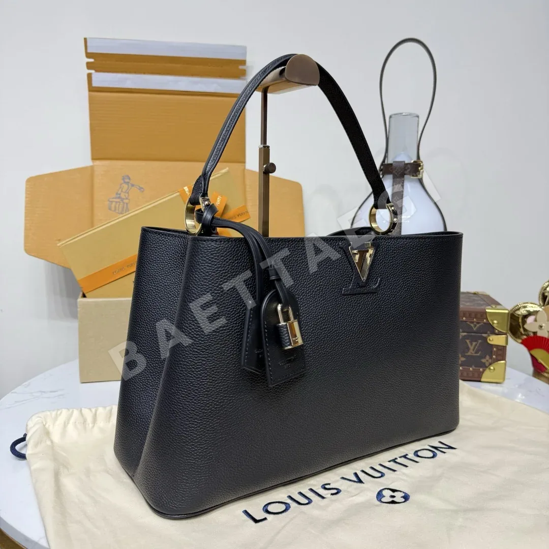 루이비통 버드케이지 카프시뉴 비지오네르 핸드백 M26259 상세 이미지 2