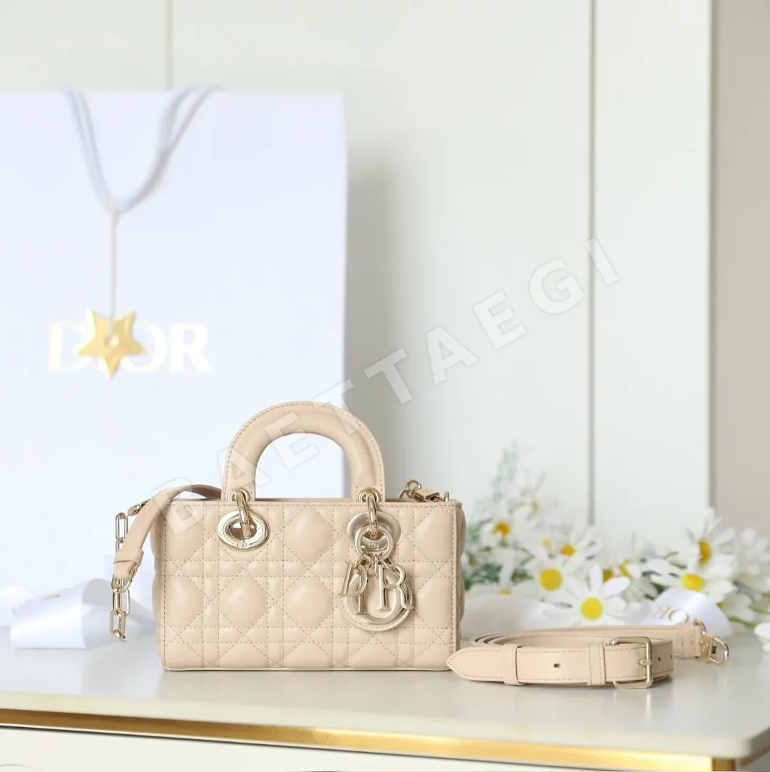 디올 165325 가방 Dior Bag
