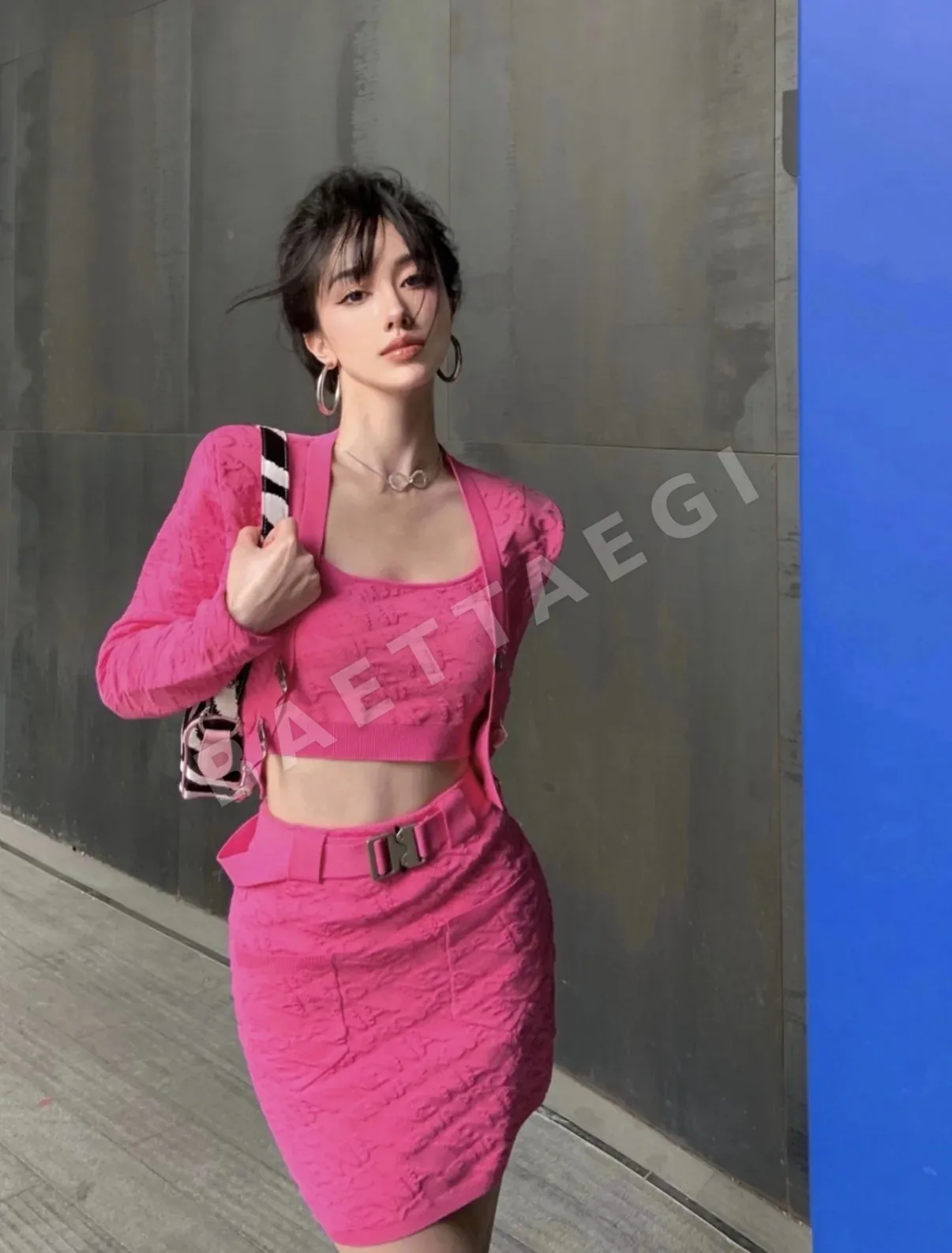크롬하츠 핑크 제브라 호스헤어 가방 상세 이미지 14