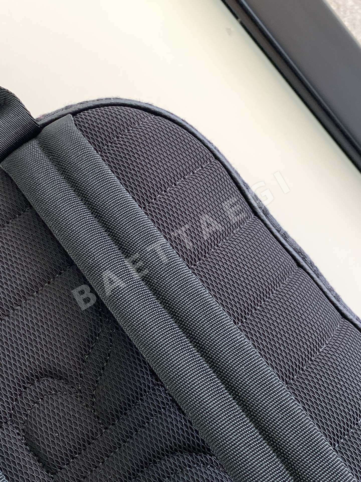 디올 사파리 백팩 상세 이미지 7