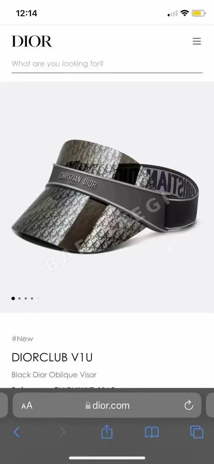디올 모자 78587 Dior Cap