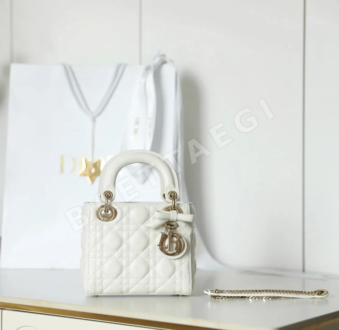 디올 165256 가방 Dior Bag