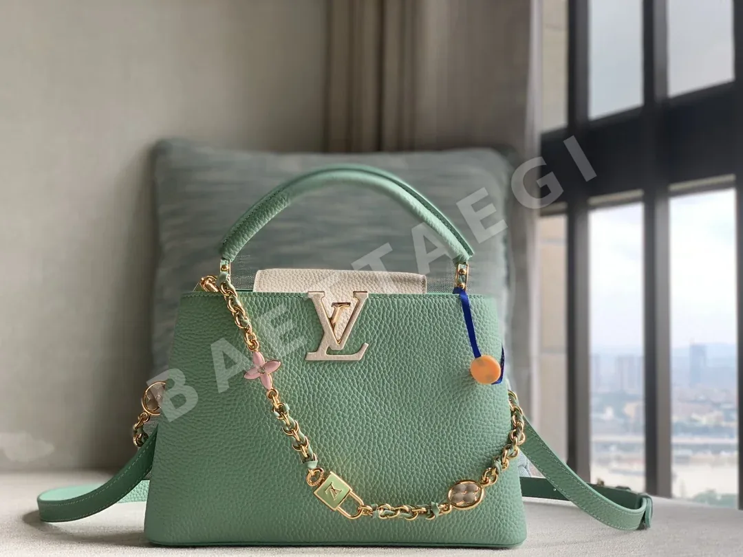 루이비통 캡시느 BB 핸드백 M24471